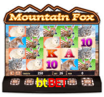 Interface Premium btbet